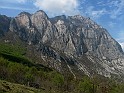 IMG_7391