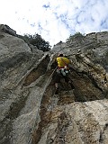 IMG_8550