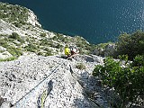 IMG_8556