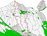 piancaformia_topos