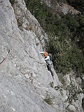 IMG_0085
