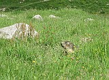IMG_0827