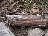 DSCN5715
