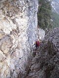DSCN5726