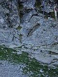 IMG_1499