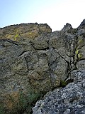 IMG_1501