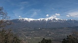 IMG_2286