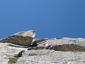 IMG_8608