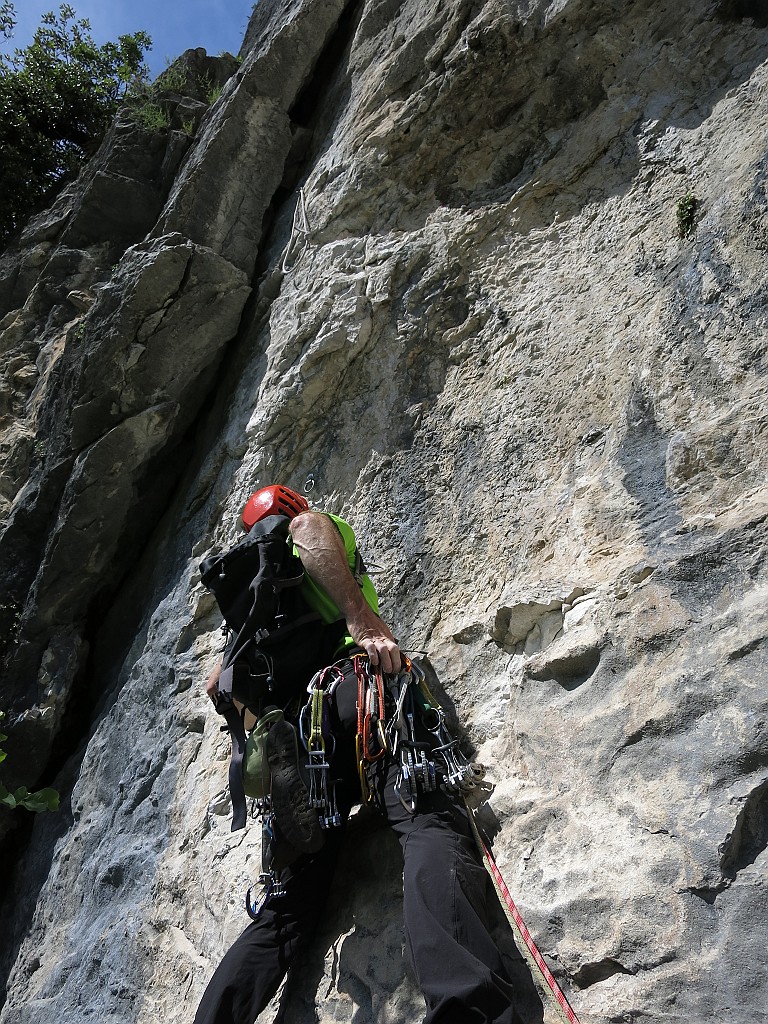 IMG_4980.JPG