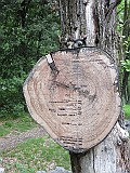 IMG_5011