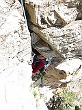 IMG_0006
