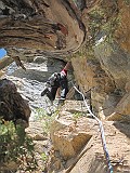 IMG_9947