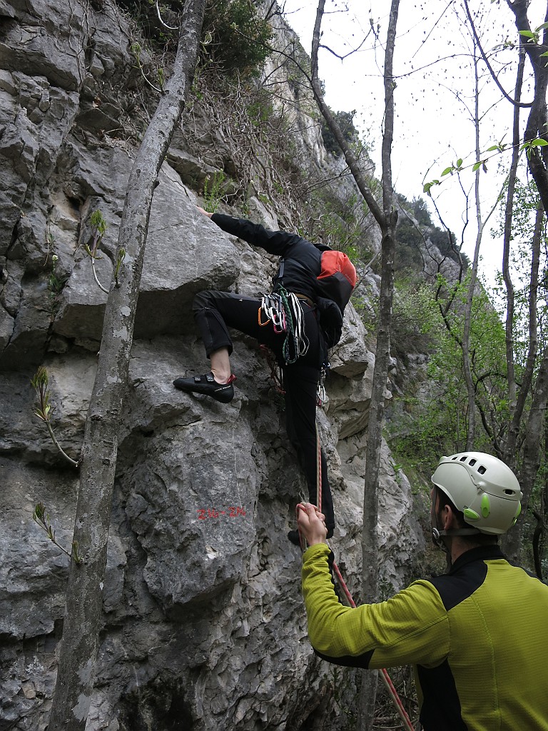 IMG_8339.JPG