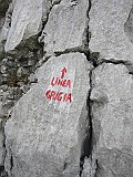IMG_8363