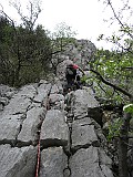 IMG_8364