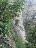 IMG_3467