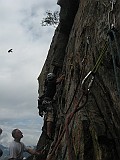 IMG_3470