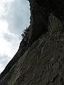 IMG_8054