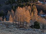 IMG_9647