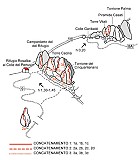 CECILIA1
