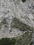 IMG_4834