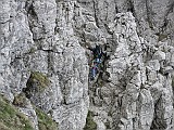 IMG_4866