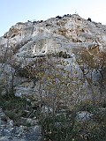 IMG_6386