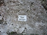 IMG_6388