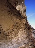 IMG_6395