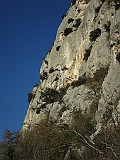 IMG_6430