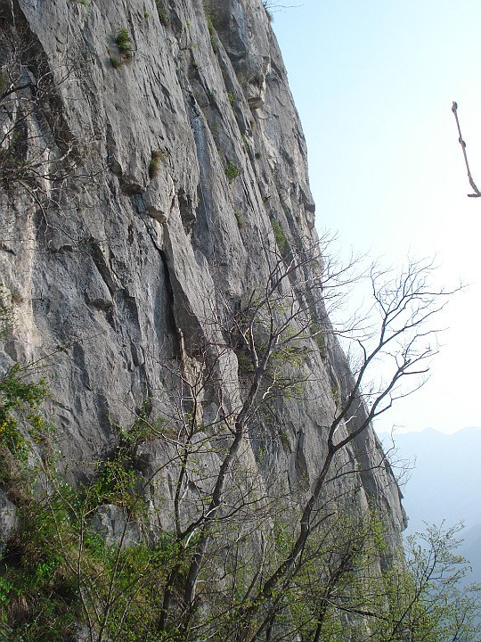 DSC06581.JPG