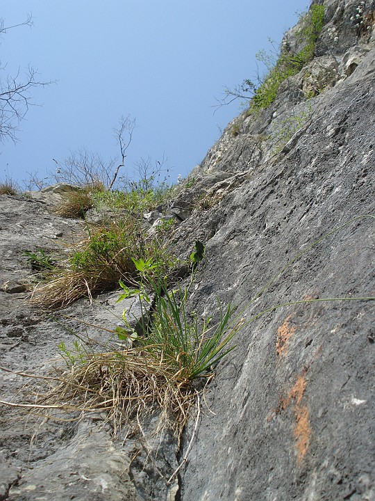 DSC06586~.JPG