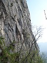 DSC06581