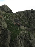 IMG_0860