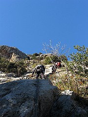 IMG_2034