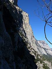 IMG_2041