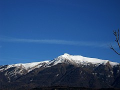 IMG_2047