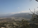 IMG_6739