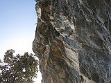 IMG_6740