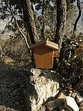 IMG_6765