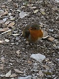 IMG_6766