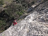 IMG_1731
