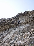 IMG_2194037
