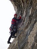 IMG_2195038