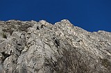 IMG_0761