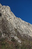 IMG_0763