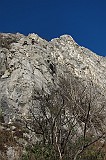IMG_0764