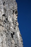 IMG_0782