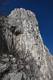IMG_0783