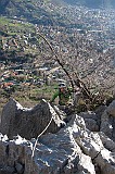 IMG_0786